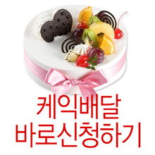 [당일 케익배달] 유명 브랜드 케익배달 주문(케익만 주문)